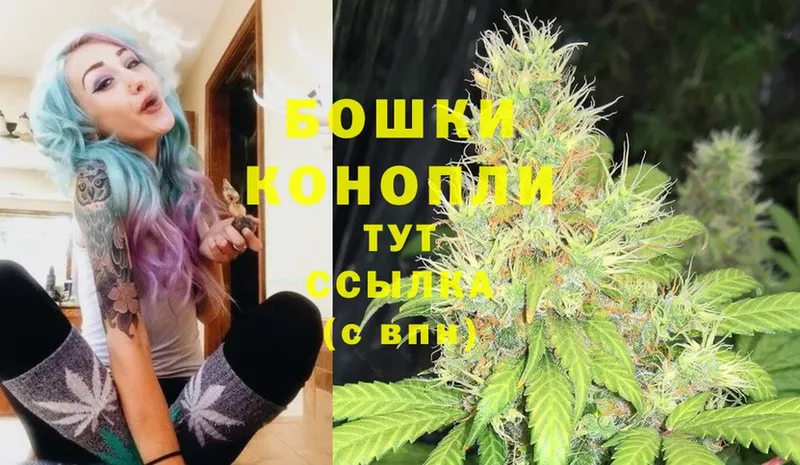 Бошки марихуана THC 21%  Октябрьск 